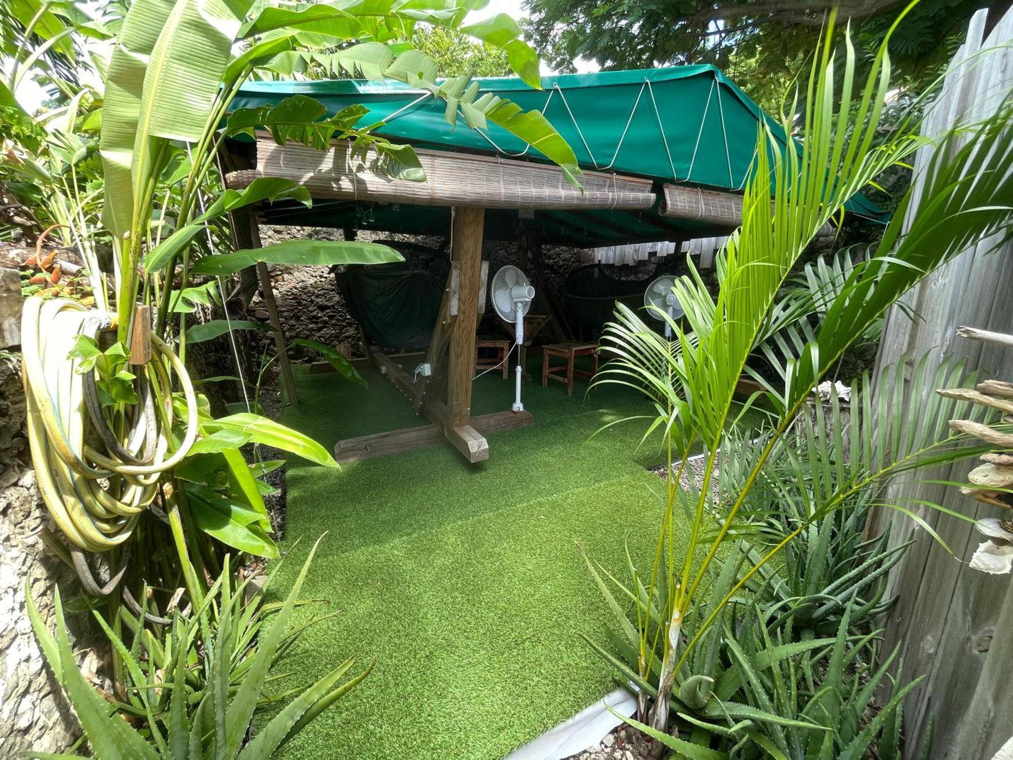 Les Hamacs Aux Saintes Hotel Terre-De-Haut Exterior foto